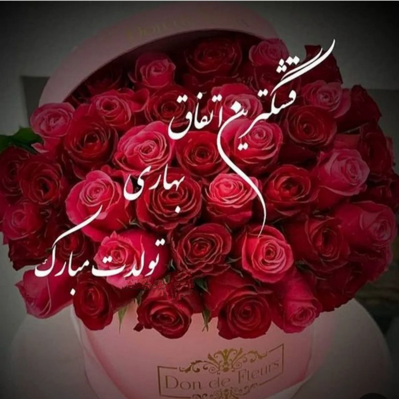 IMG_۲۰۲۶۰۳۲۵_۱۰۵۰۱۰.webp