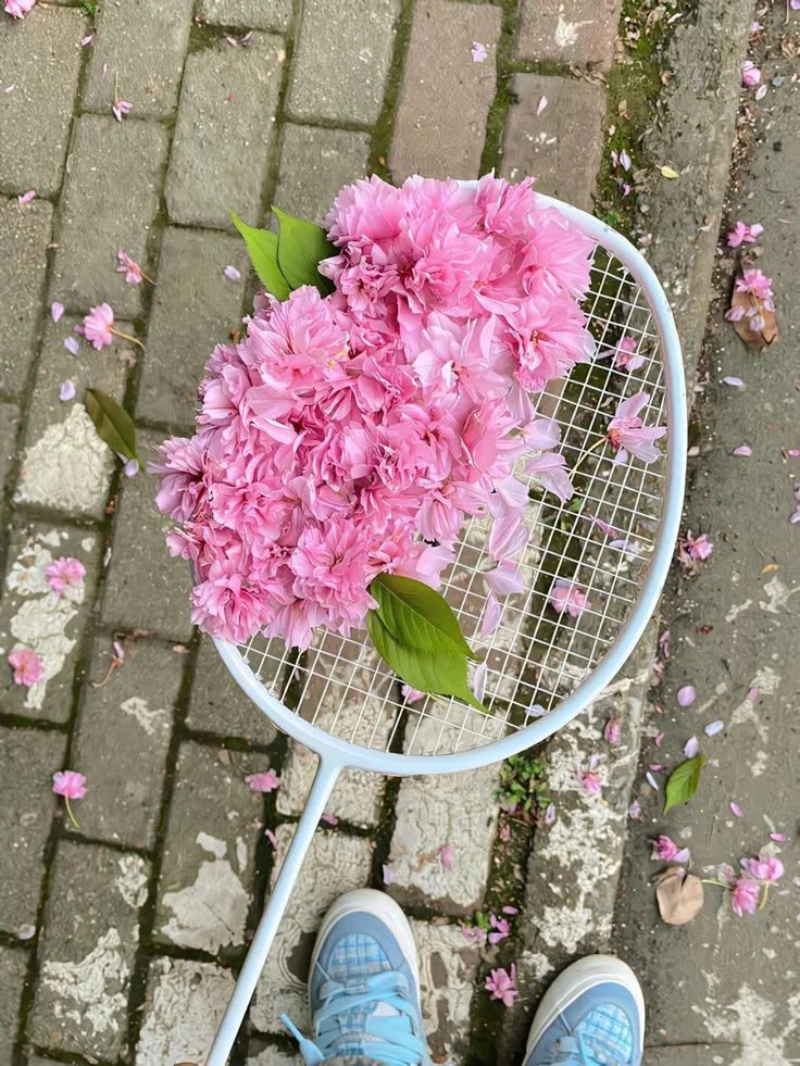 IMG_20260325_165548_055.webp