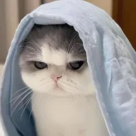 سرجوخه؛