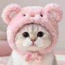 گربه صورتی:))