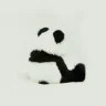 mahdiyeh_81